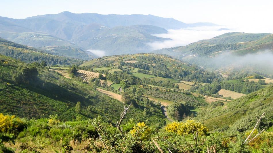 IND12-59-Santiago-S_OCebreiro_Triacastella_02-Lindsey-Pinnock_export_w950