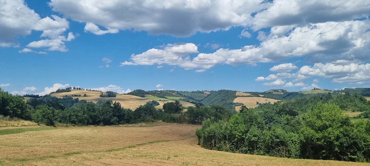 20250722 150828 Tom Dijckmans