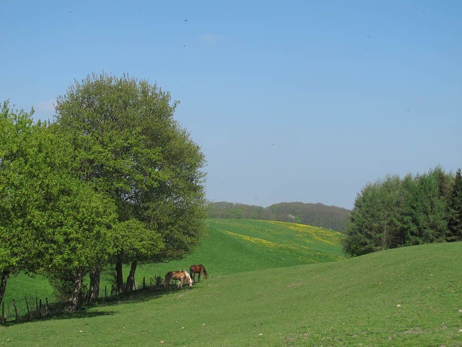 Voeren 13 Robert Clabots IMG_0887_Robert Clabots_w950