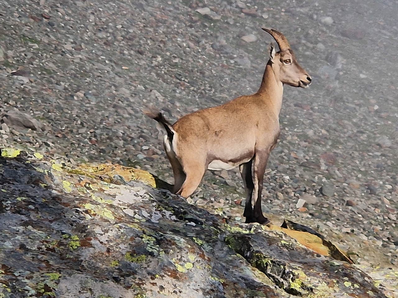 Groot Formaat 1000071265 Koen Somers