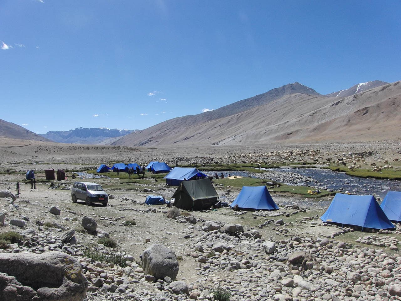 Discoveryjourneysindia (Agent) Tents