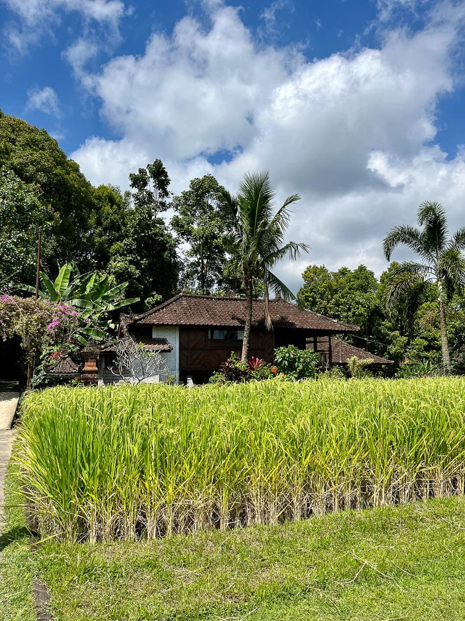 Image00003 Selectie Eveline Eveline Claes W950