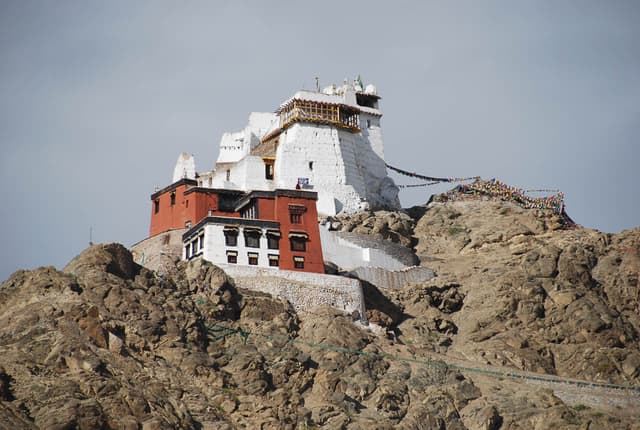 Discoveryjourneysindia (Agent) Leh Palace