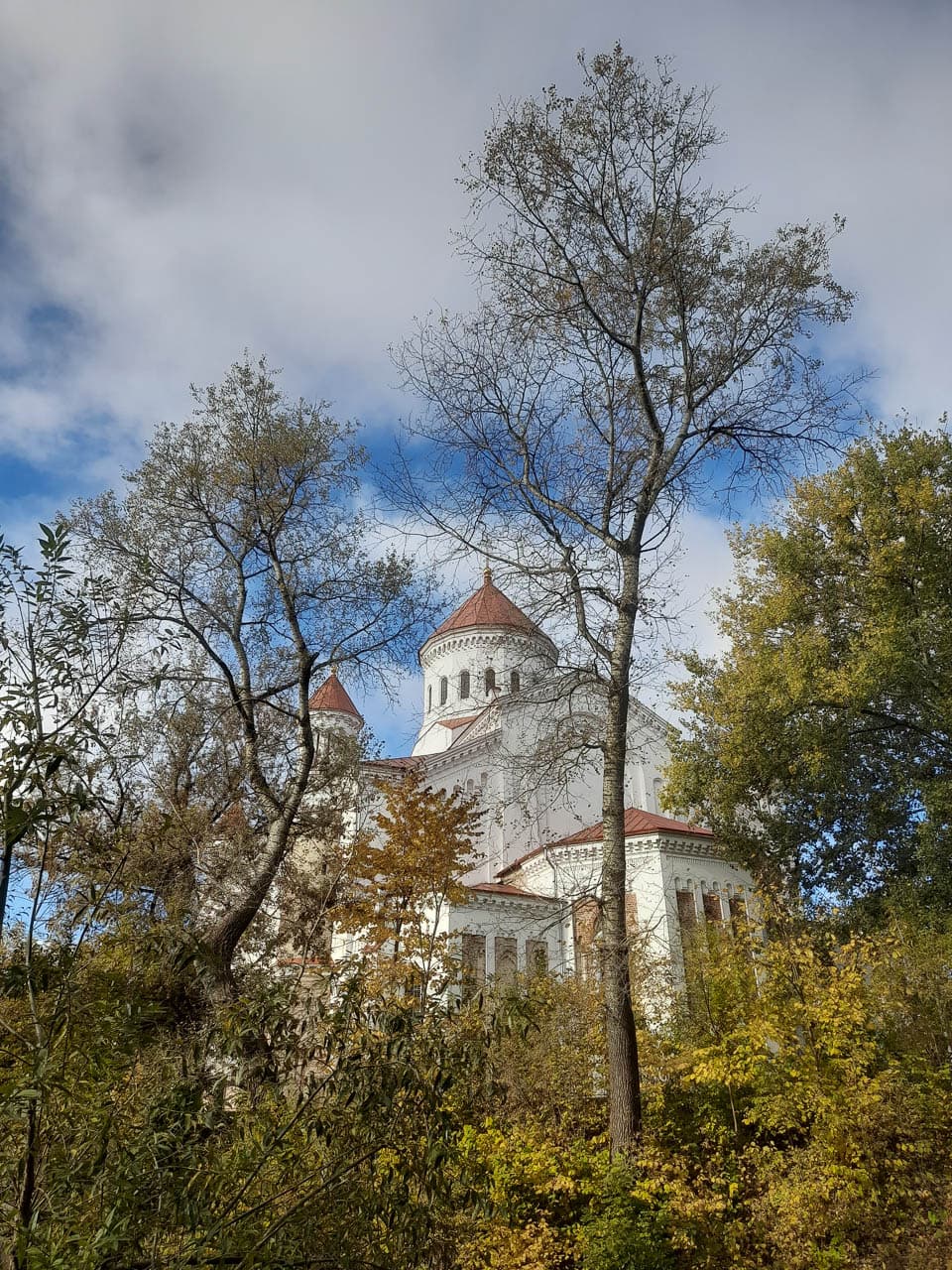 Selectie Website 20241016 112701 Edwin Vriesema