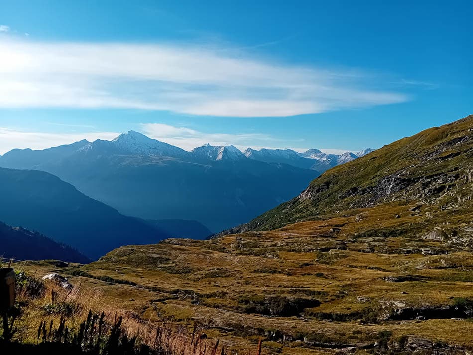 20230831_083151-FR5VNA Maarten Caversoons-Maarten Caversoons-w950