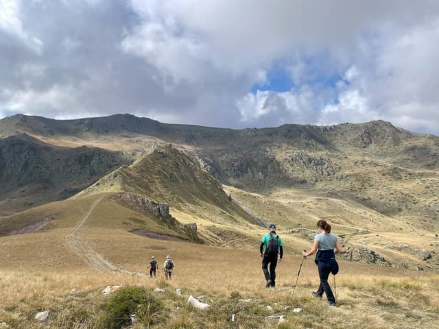 IMG 1336 Selectie Ruud Peten W1280