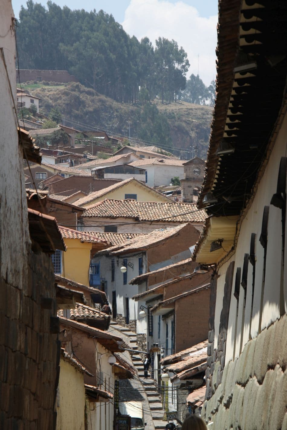 Peru-2010-Nancy-Reusen-IMG_7171_export