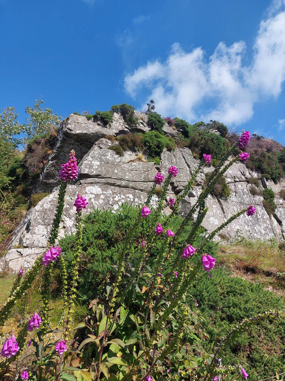 20240716 161704 Selectie Véronique Nechelput W950