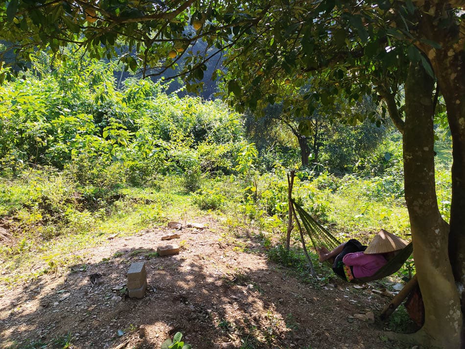 IMG 20241110 130459 Charlotte Charlotte Stevens W950