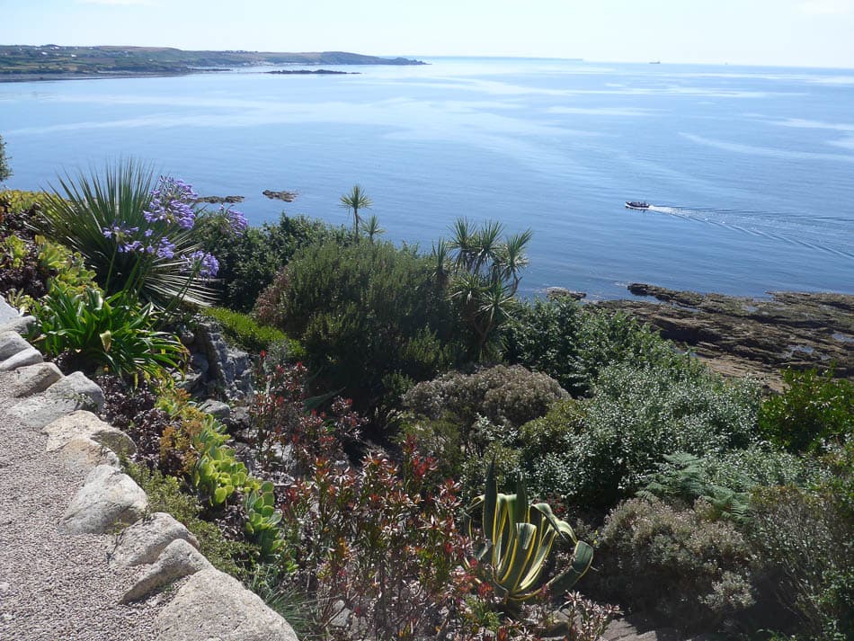 P1100593 Nancy Tournoy Nancy Tournoy W950