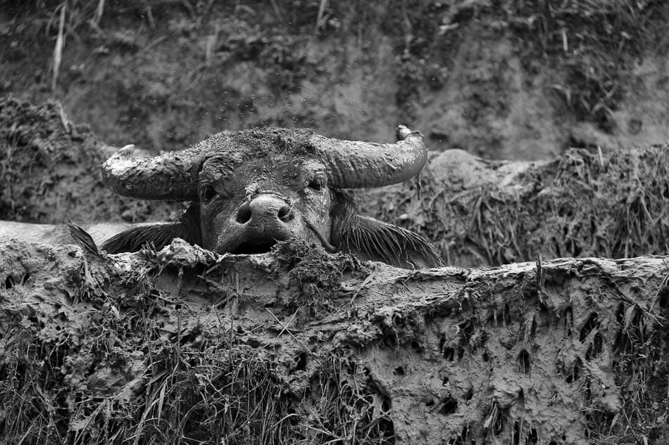 VN 263 Selectie Arne Vanwijnsberghe Arne Van Wijnsberghe W950