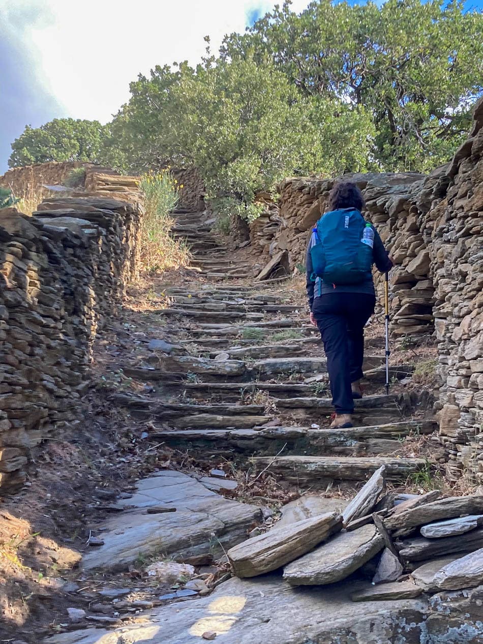 IMG 0920 Selectie Melissa Regine Temmerman W950