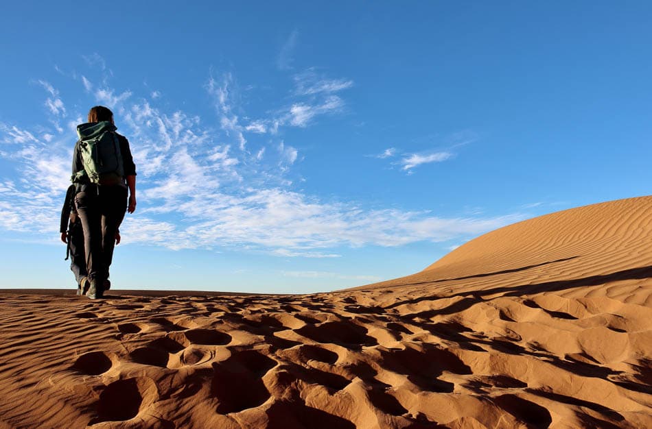 Sahara (21) Arne Vanwijnsberghe Arne Vanwijnsberghe W950