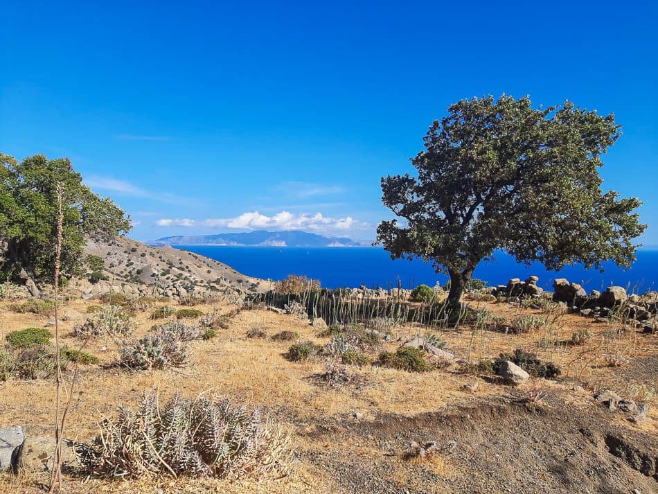 20211014_102932_steven-vertommen_w950