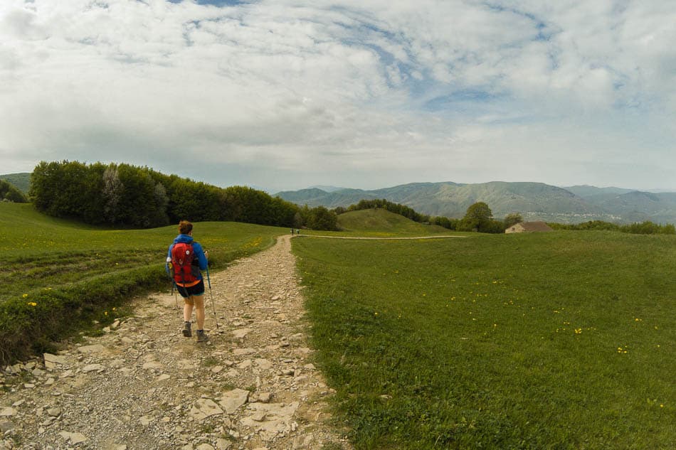 Adobestock 207115112 Selectie Melissa Agent W950