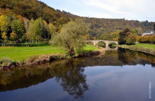 -FTLBPWillems-12_export_w950