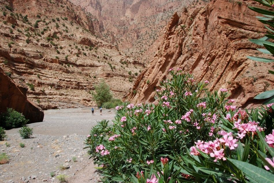 kve_NIKON-D80_20120709_163502_DSC_5075_export