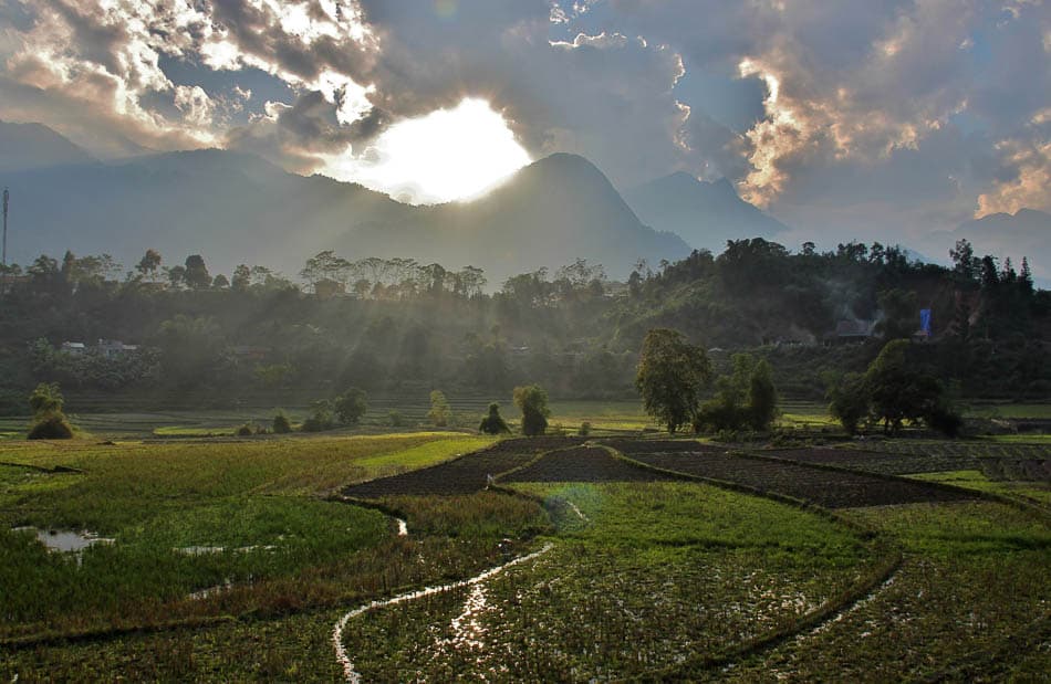 VN 228 Arne Vanwijnsberghe Arne Van Wijnsberghe W950