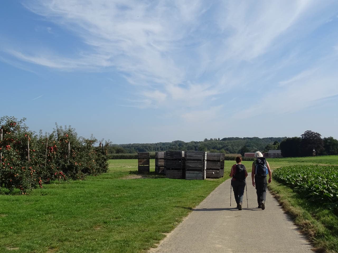 Fruitig Haspengouw 2 Caja BE5FHA Grote Routepaden W1280