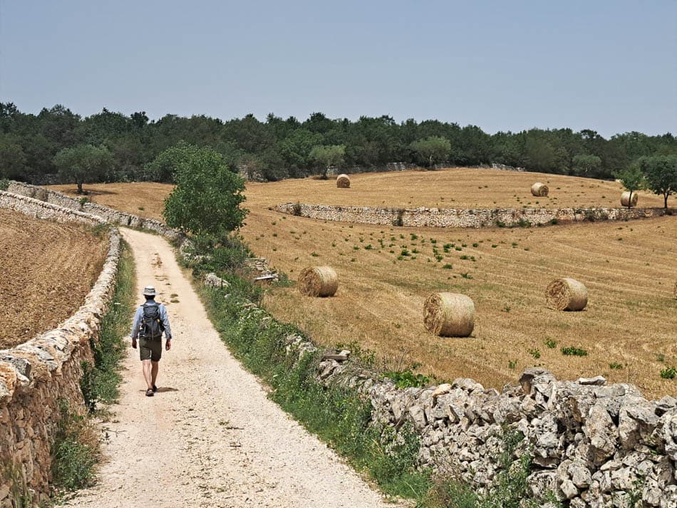 20240620 134032 AVE 6127 Selectie Ann Verhetsel W950