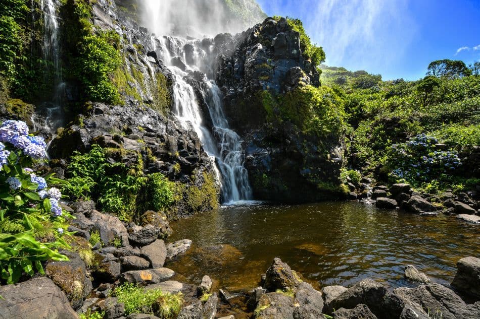 Azoren-2747j-2013-Nancy-Van-Hoof_export