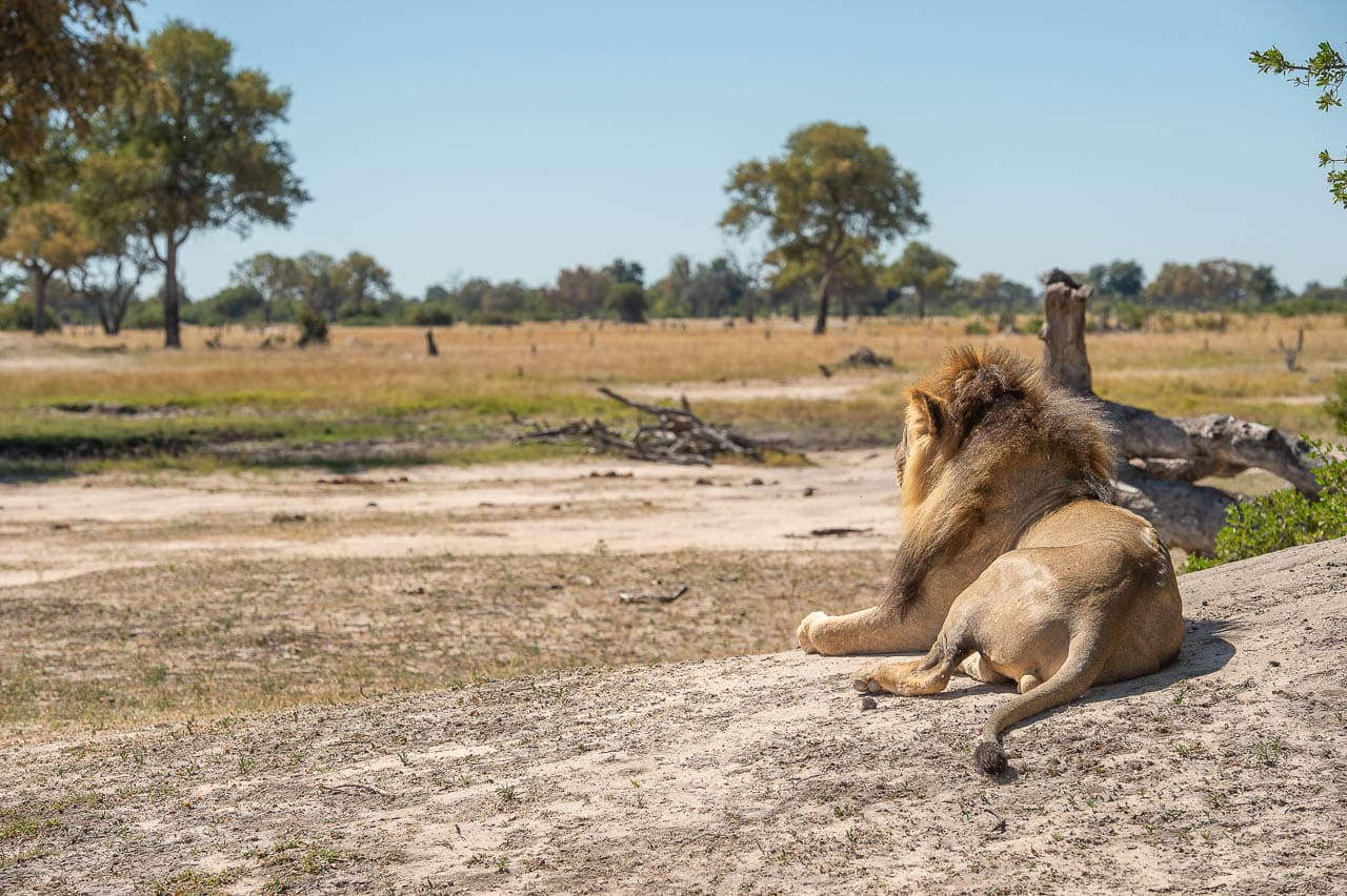 Sunways (Agent) Sunway Zimbabwe Hwange NP Bruce Taylor 0666