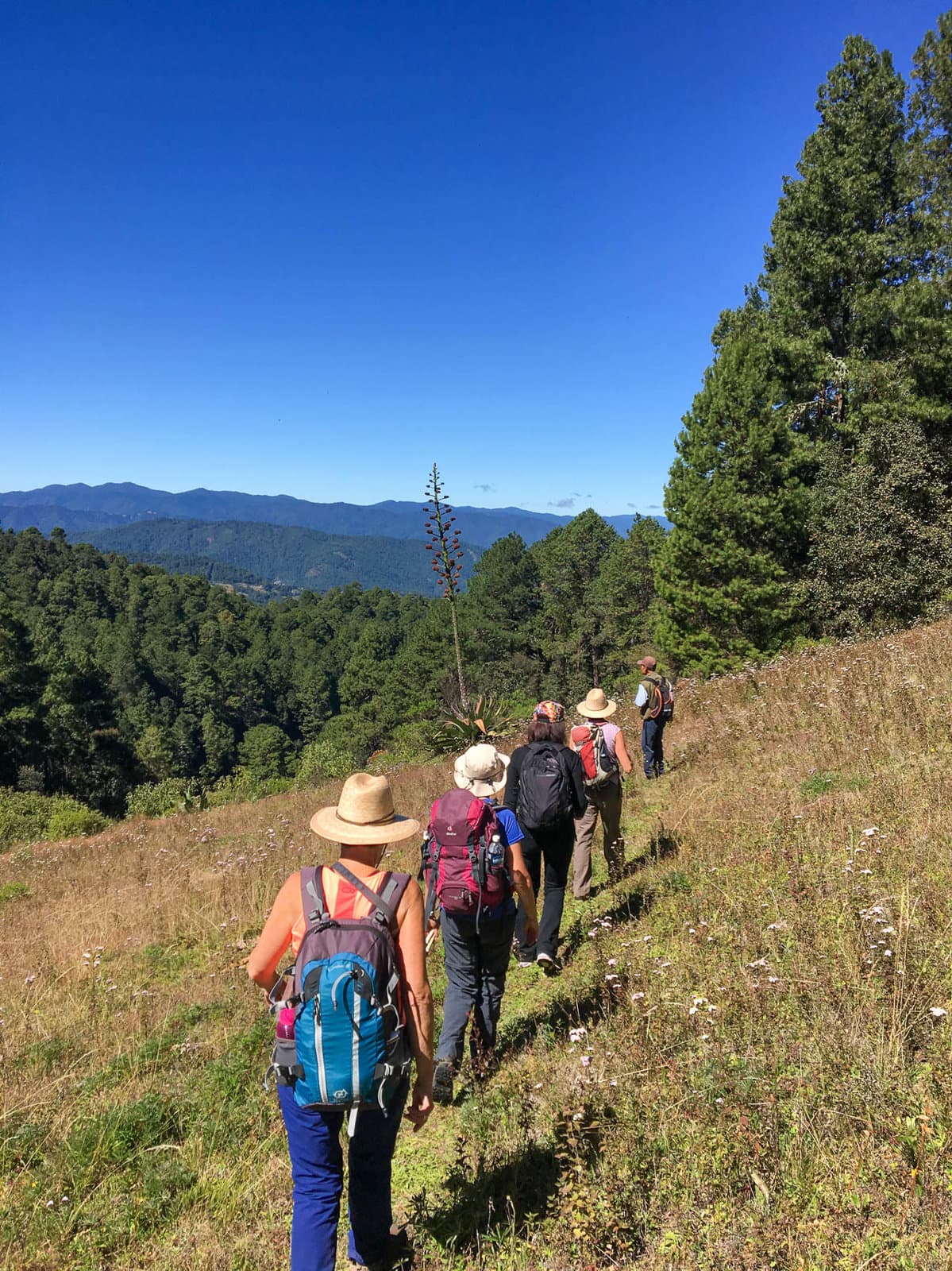 IMG 7164 Selectie Murielle Coppin W1280