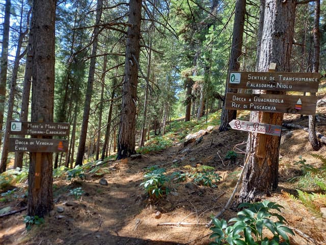 FR5COD 20230909 125800 Marie Paule Cluyts