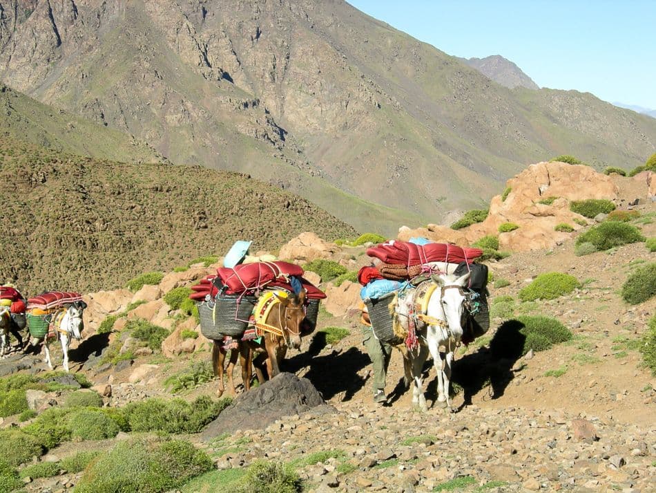 Toebkal-09-Gaby-Buyle-DSCN1696_export_w950