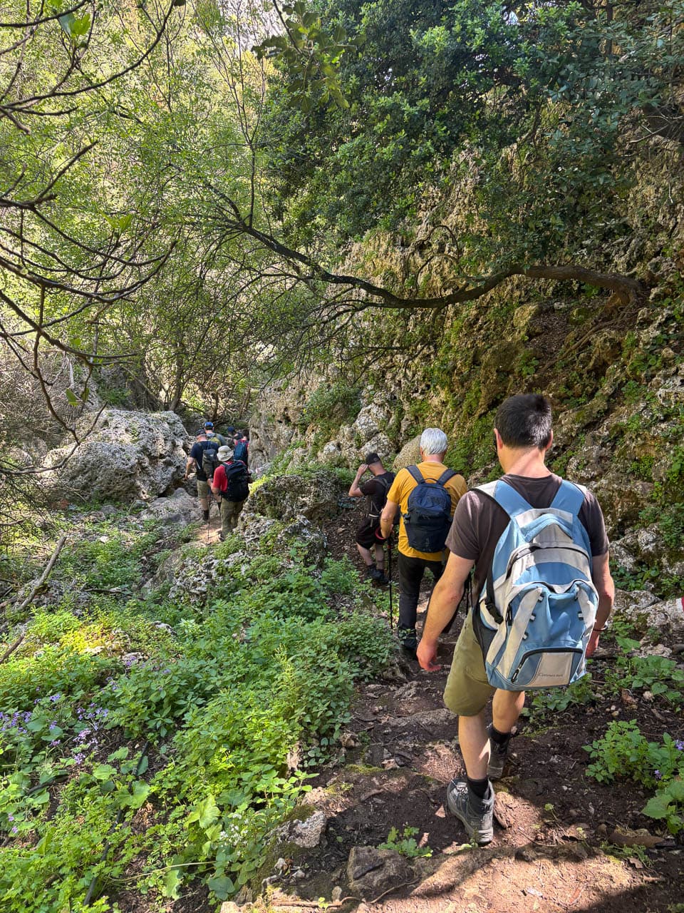 GR1KTA Kreta Vafes