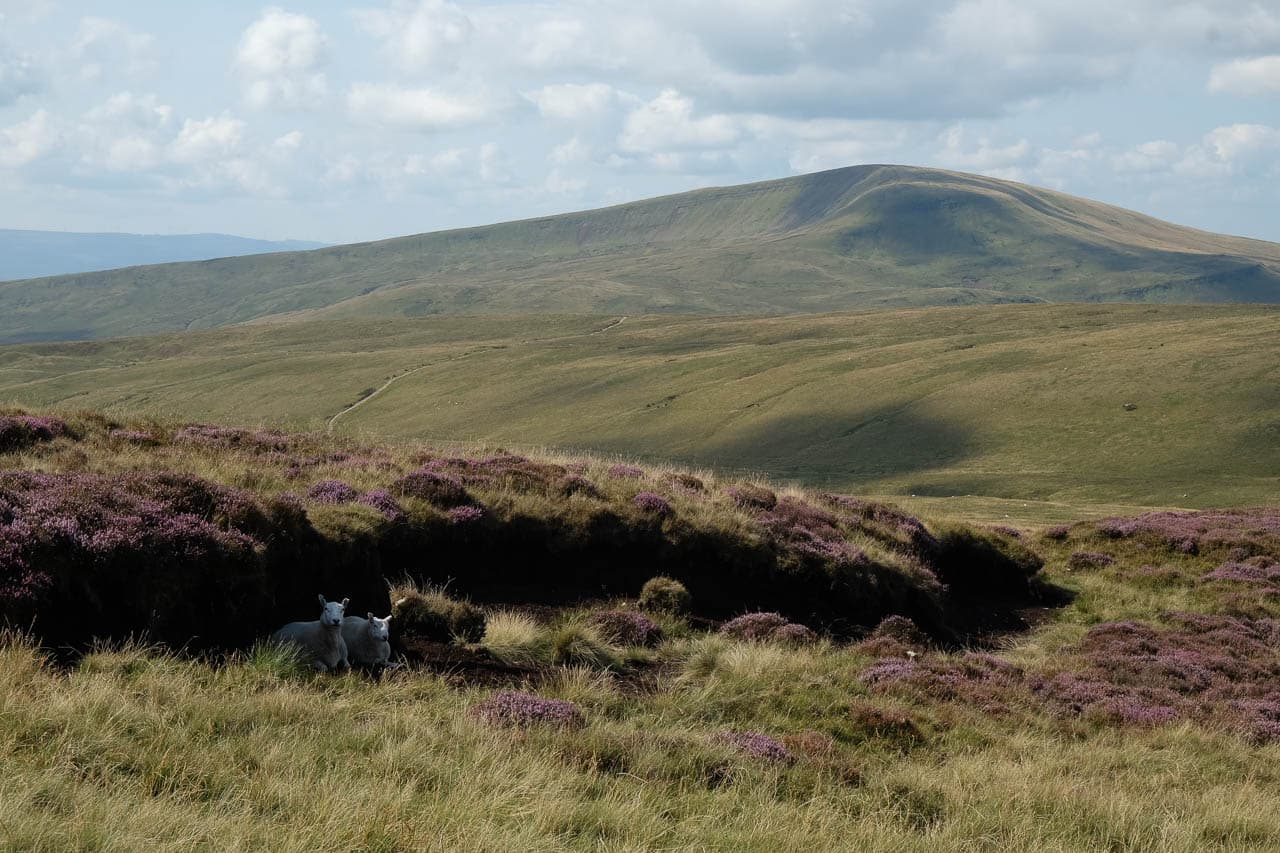 Maarten Caversoons DSCF5939 Maarten Caversoons