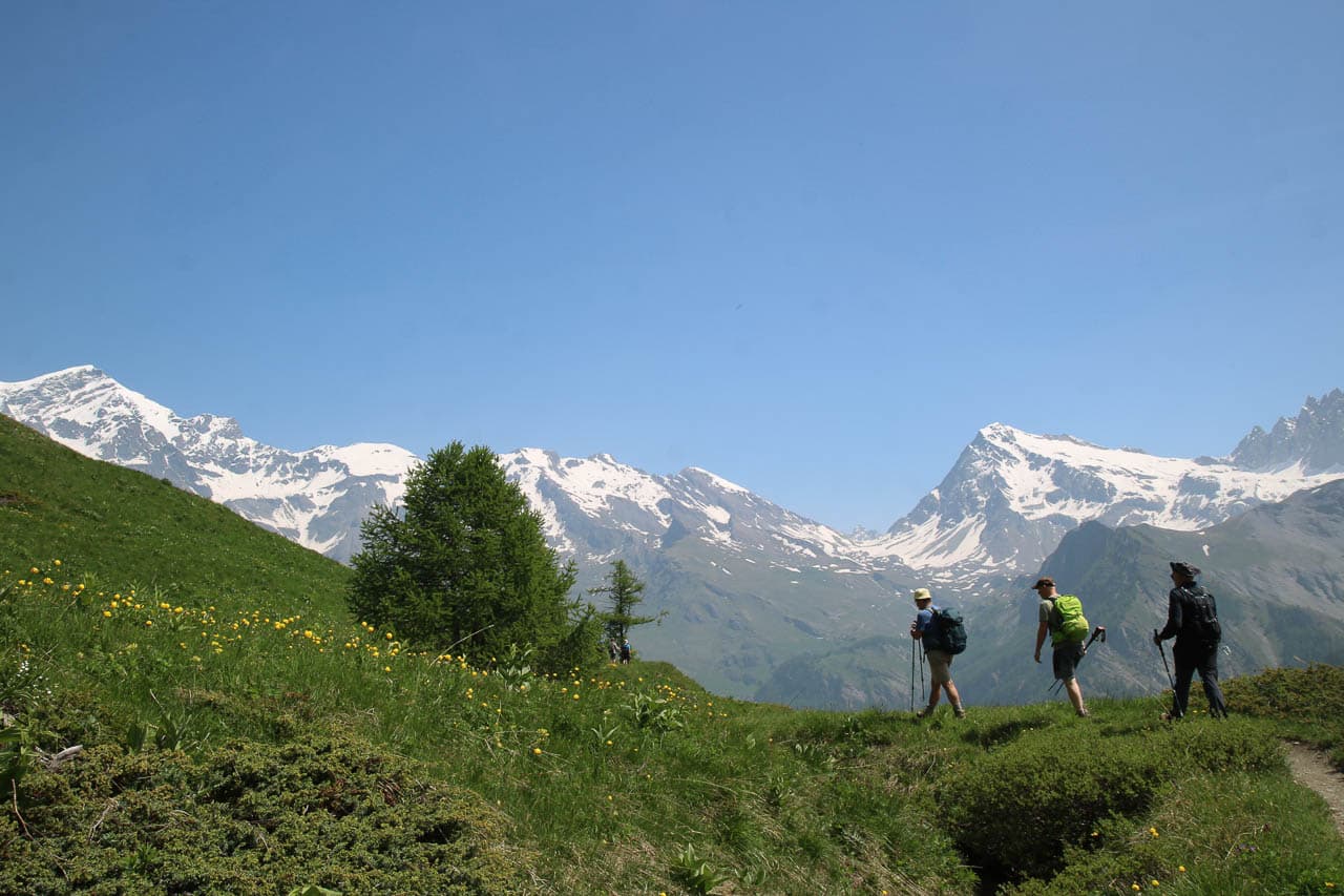 Jan Van Brabant IMG 0553 Jan Van Brabant