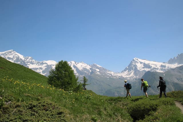 Jan Van Brabant IMG 0553 Jan Van Brabant