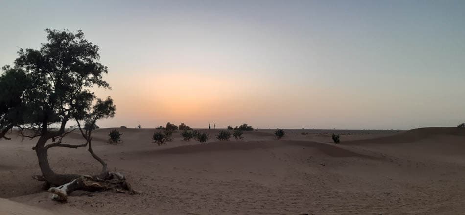 20240212 190627 Resized Selectie Voor Rouwreis W950