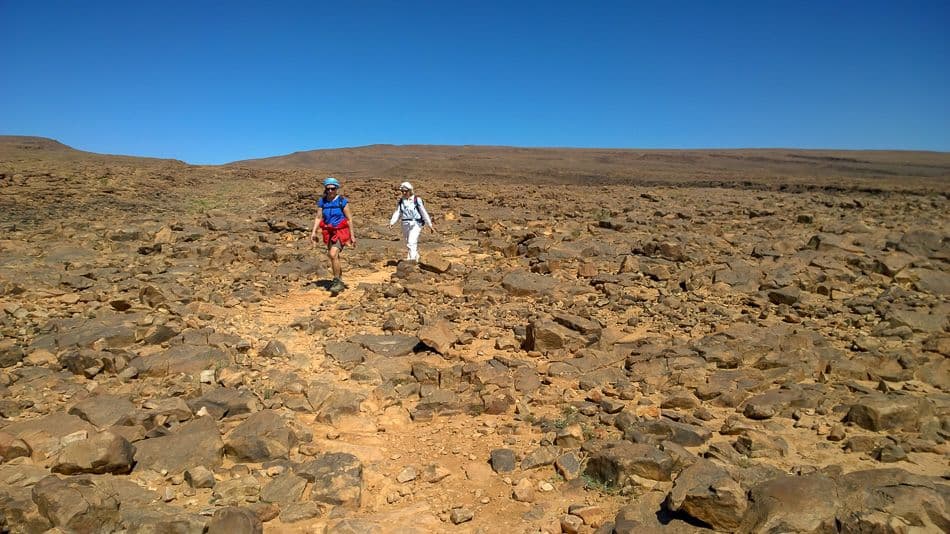 WP_20180407_12_47_50_Pro_export_w950