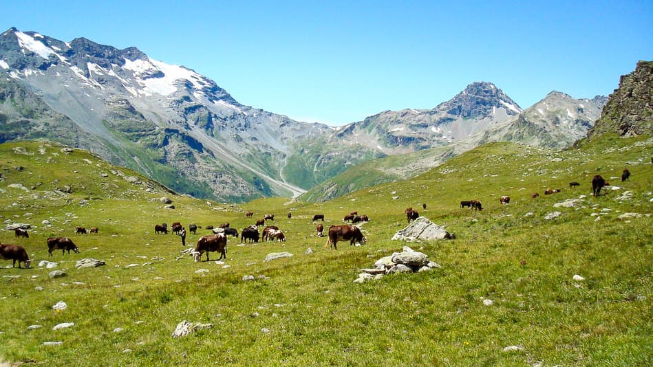 Gran Paradiso Karine Warnant 08 DSC00245 Export W950