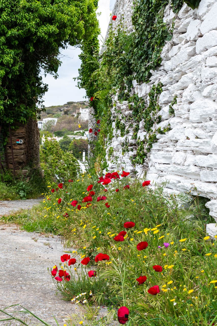 Selectie DSC 0367 Wim Hubaux