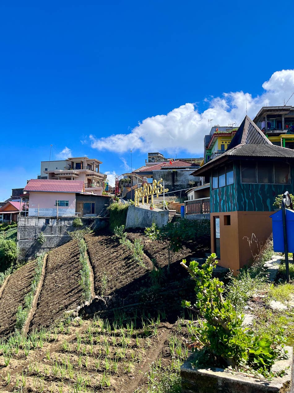 Image00013 Selectie Eveline Eveline Claes W950