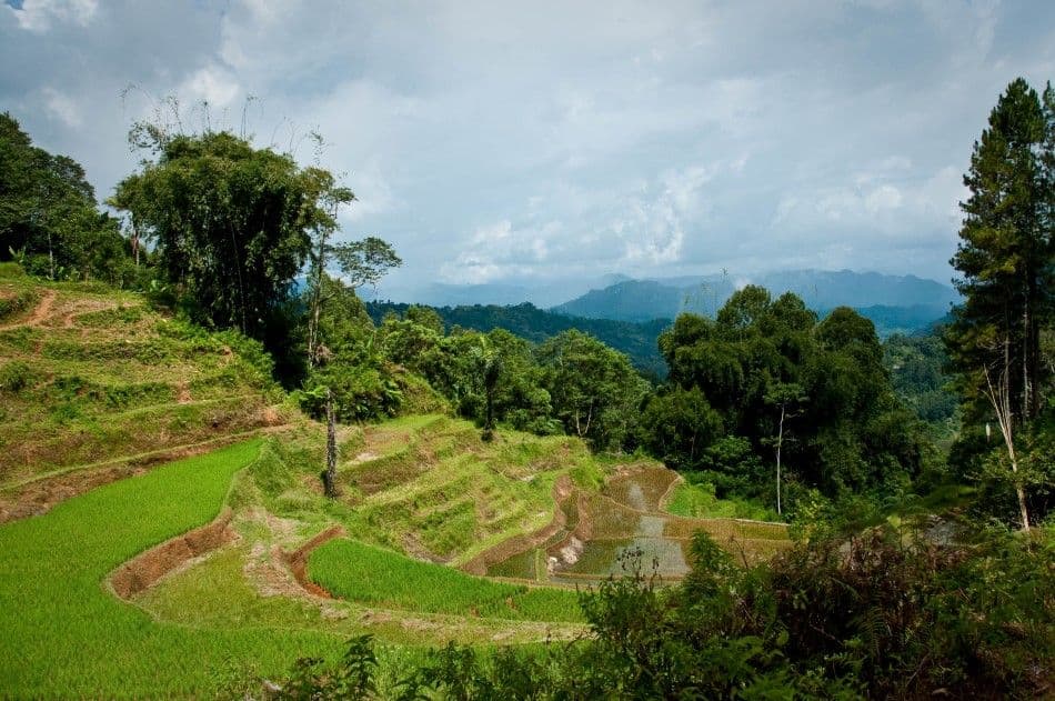 Java-Bali-Sulawesi-10-Stefaan-Moens-DSC_0639b-Custom