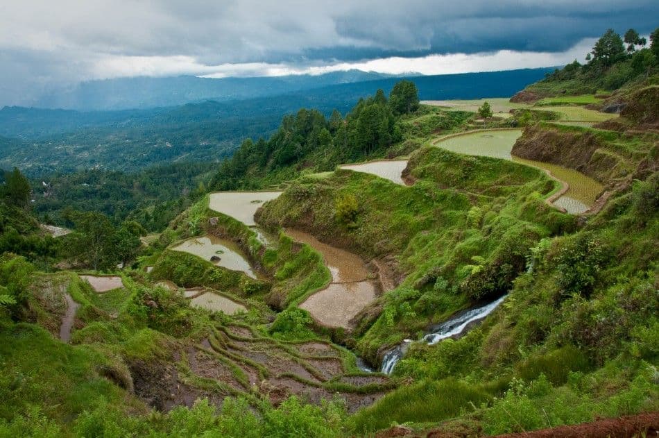 Java-Bali-Sulawesi-10-Stefaan-Moens-DSC_0669b-Custom