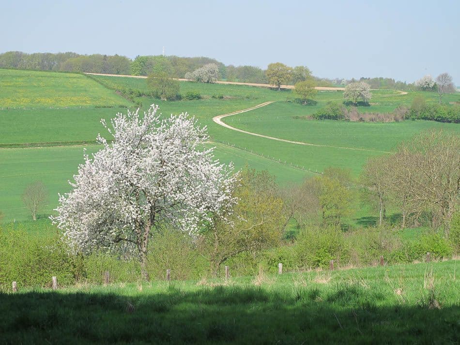 Voeren 13 Robert Clabots IMG_0885_Robert Clabots_w950