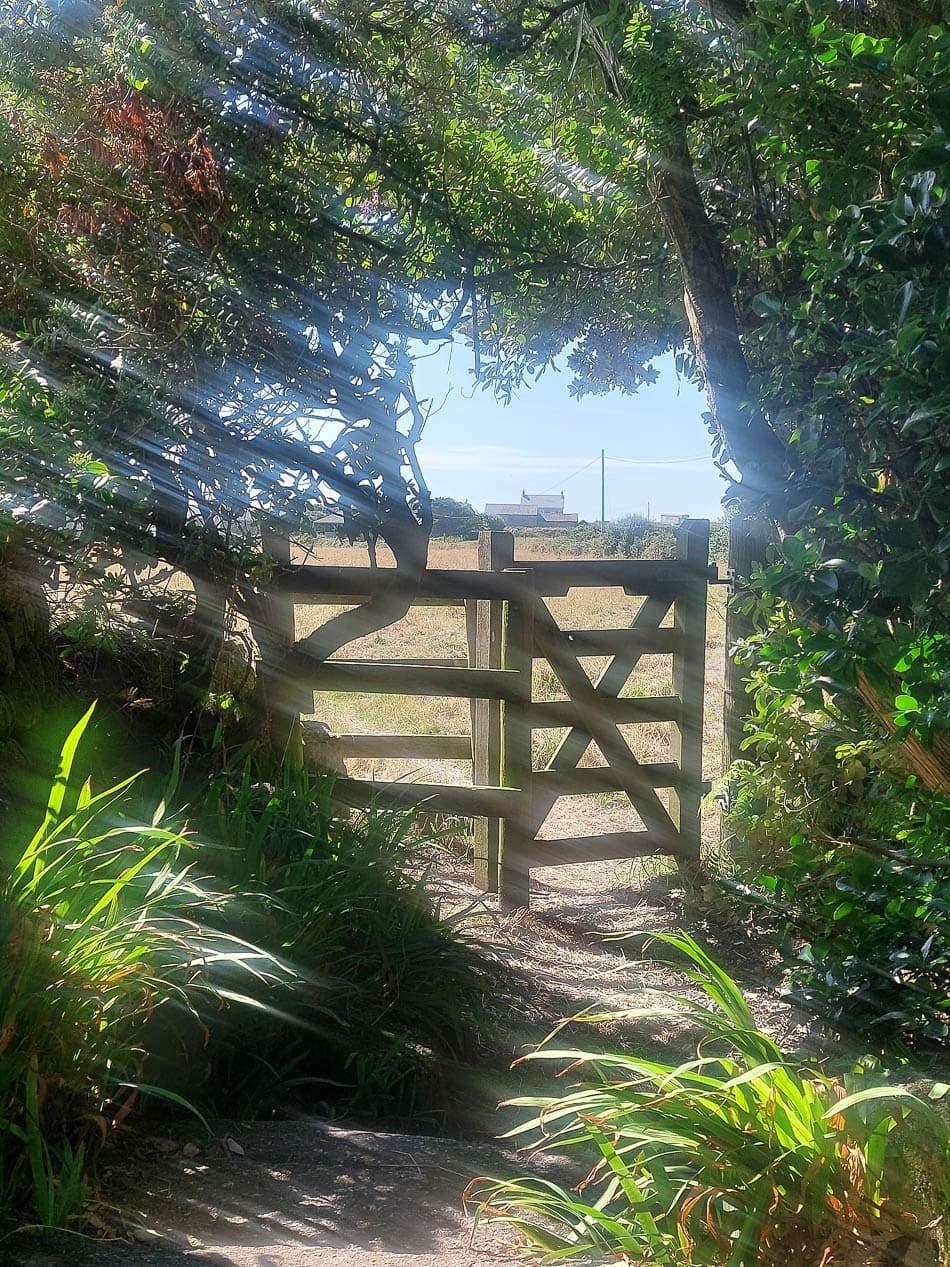 20240718 105051 Selectie Véronique Nechelput W950