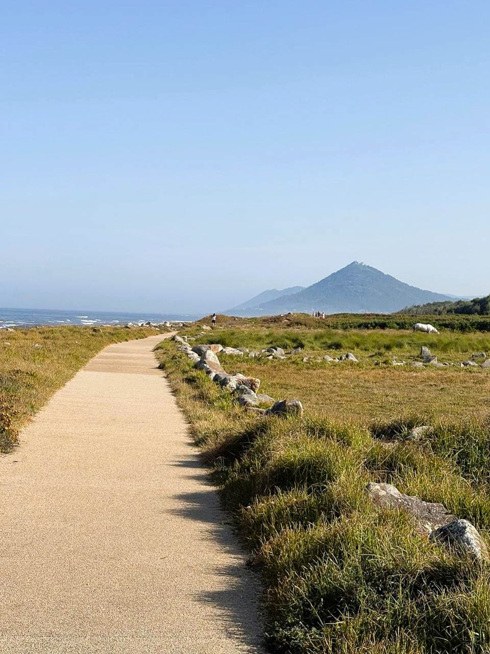 PT5PSB 20250814 134936000 Ios Stéphanie Horemans