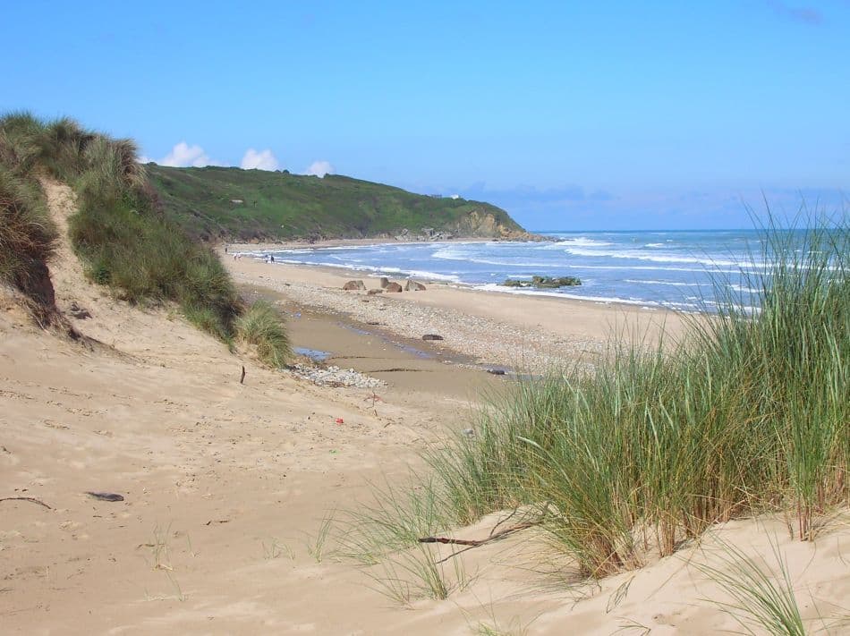 2 IND1121 Cote Dopale 07 Bart De Winter 24 Export