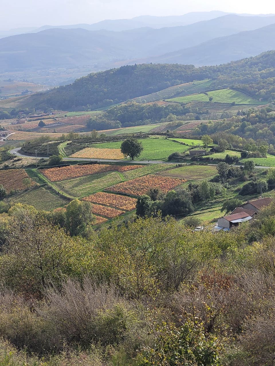 FR5BJB Herfst Foto's Grégoire 20221031 152137