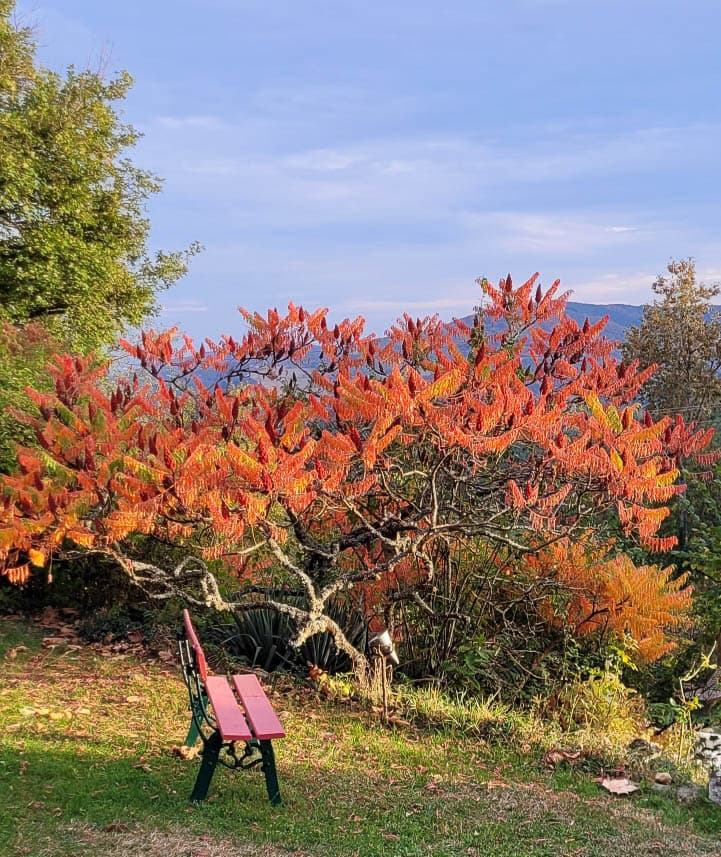 FR5BJB Herfst Foto's Grégoire 20231016 180459 Grégoire Lamy
