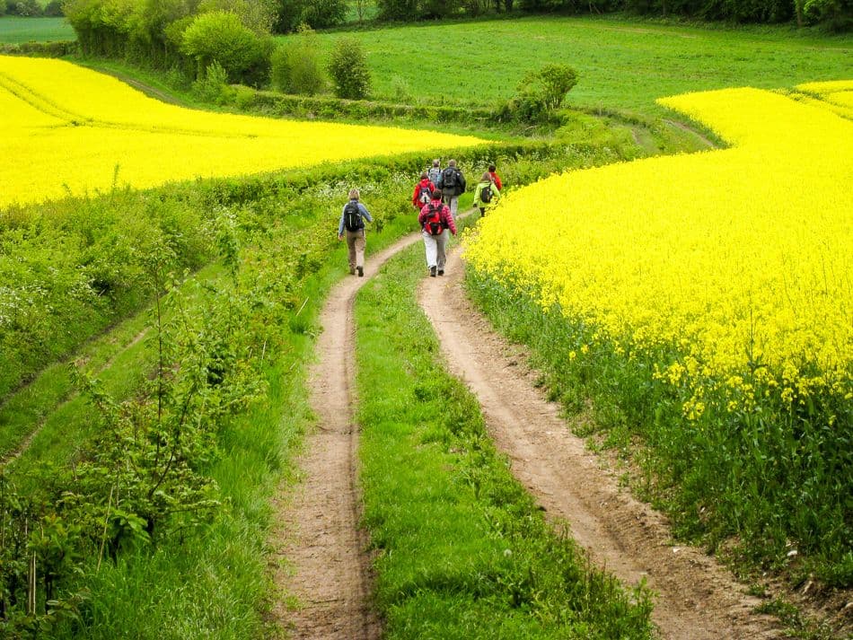 Kent-12-Johan-Vandueren-IMG_1684_export_w950