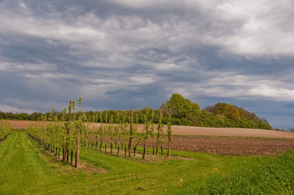 2012 04 29 AR Borgloon 048B Chris Derynck Export W950