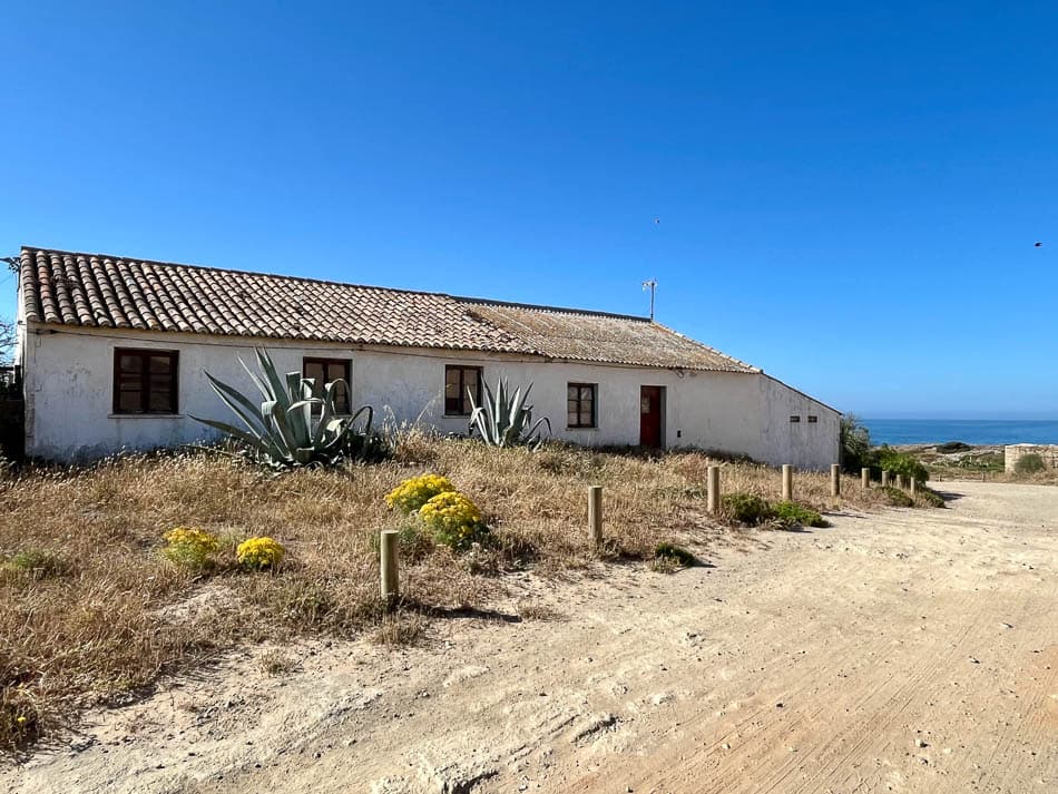 Image00006 PT6ALA Agent W950