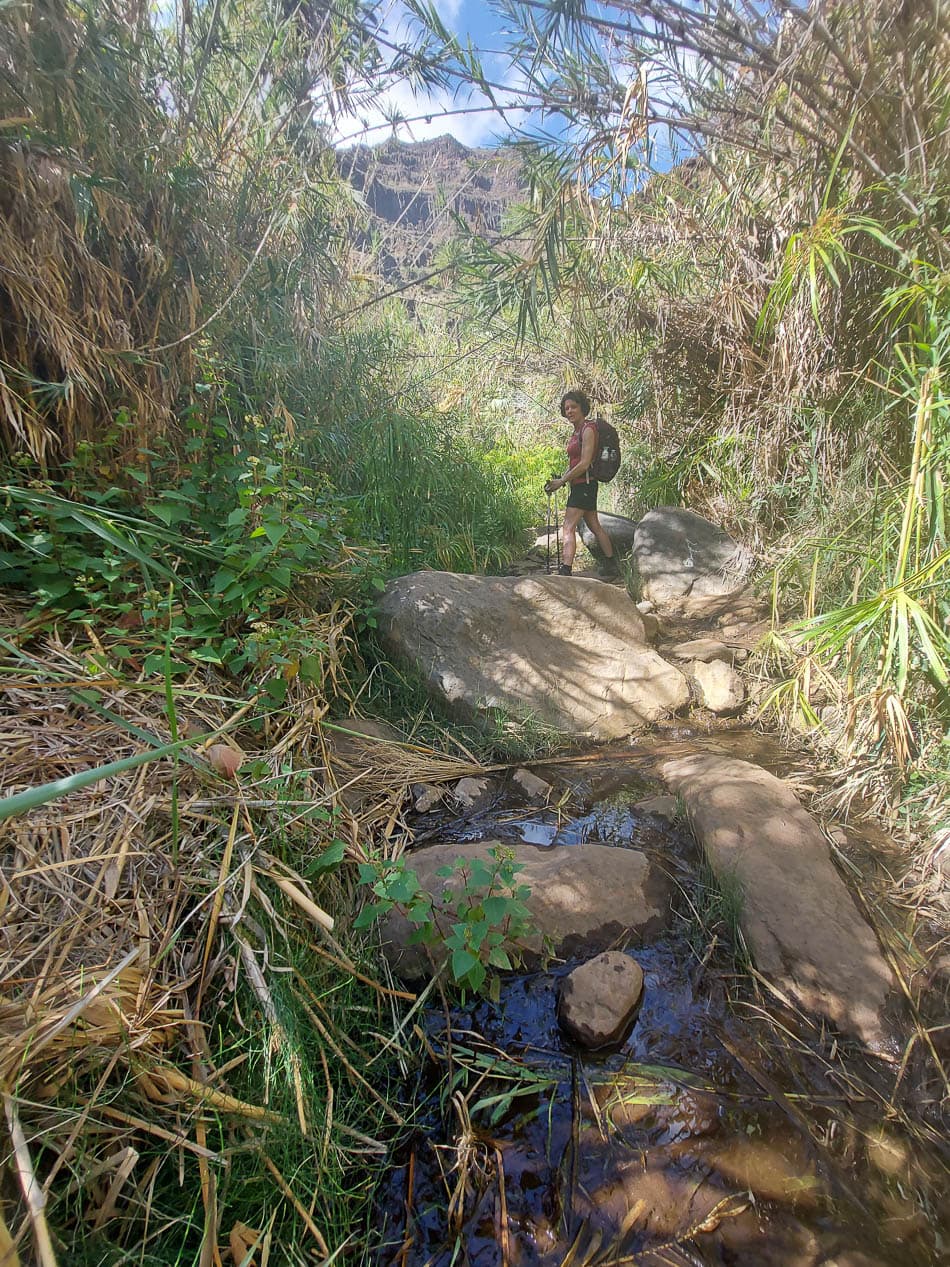 20240309 144520 Selectie Chris Van Deuren W950